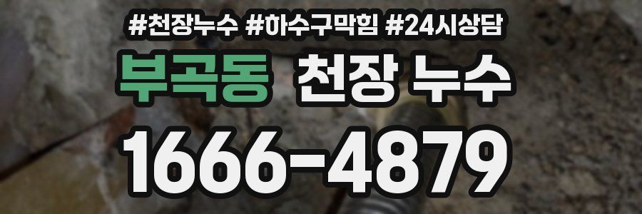 부곡동 천장 누수