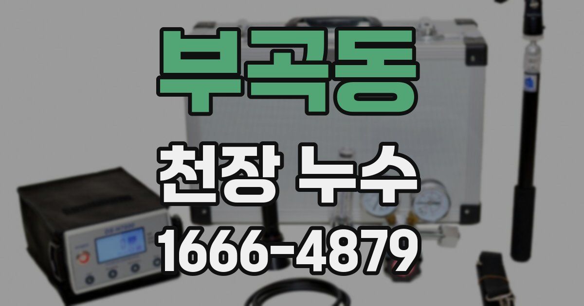 부곡동 천장 누수