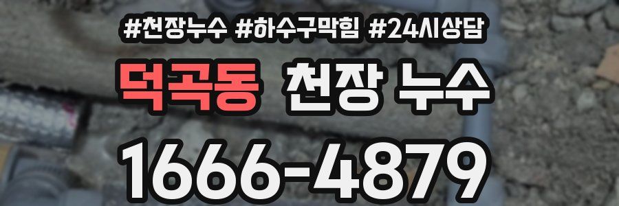 덕곡동 천장 누수