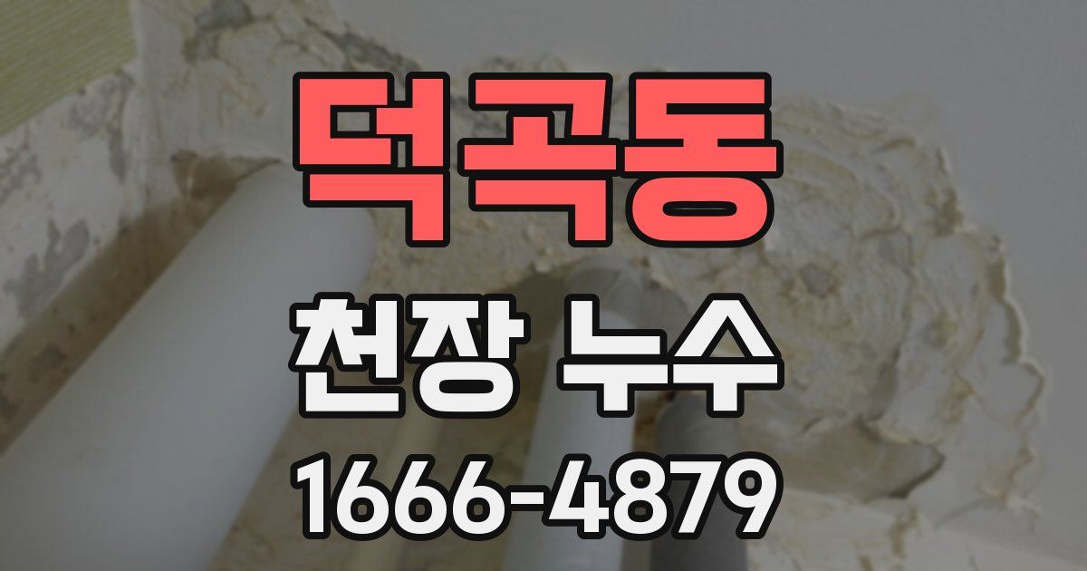 덕곡동 천장 누수