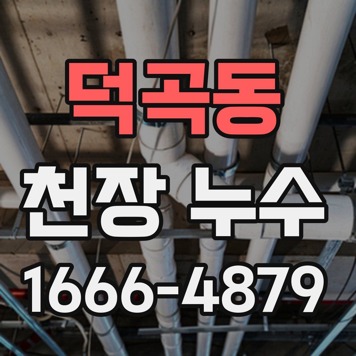 덕곡동 천장 누수