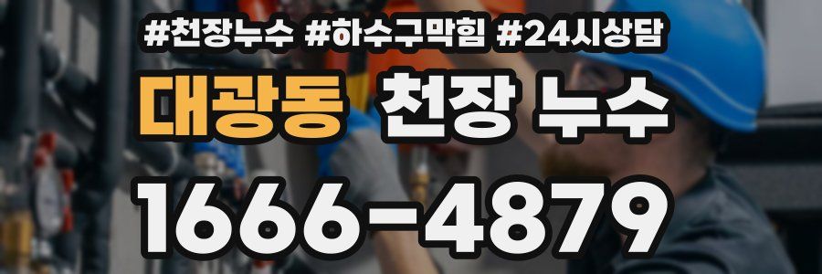 대광동 천장 누수