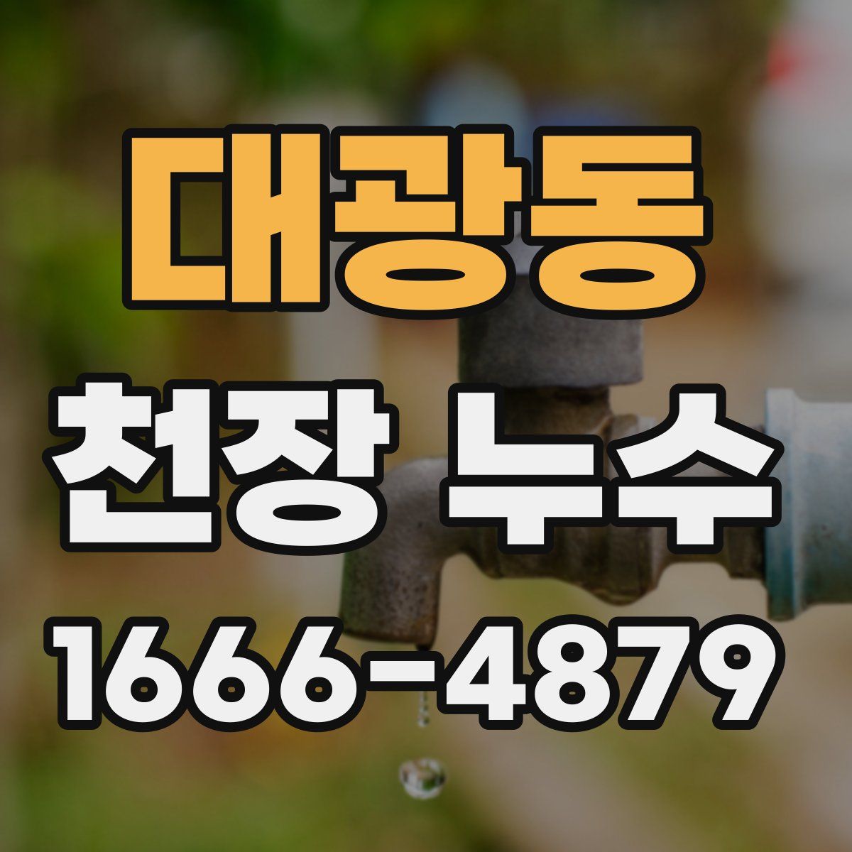 대광동 천장 누수