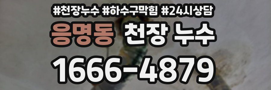 응명동 천장 누수