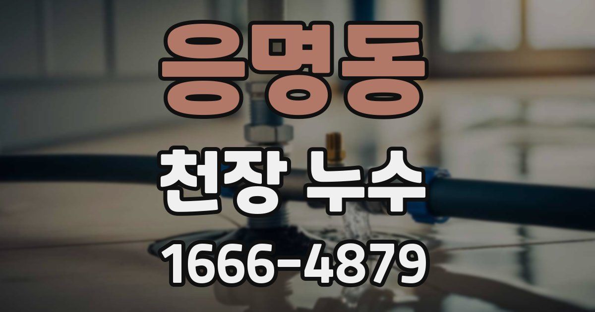 응명동 천장 누수