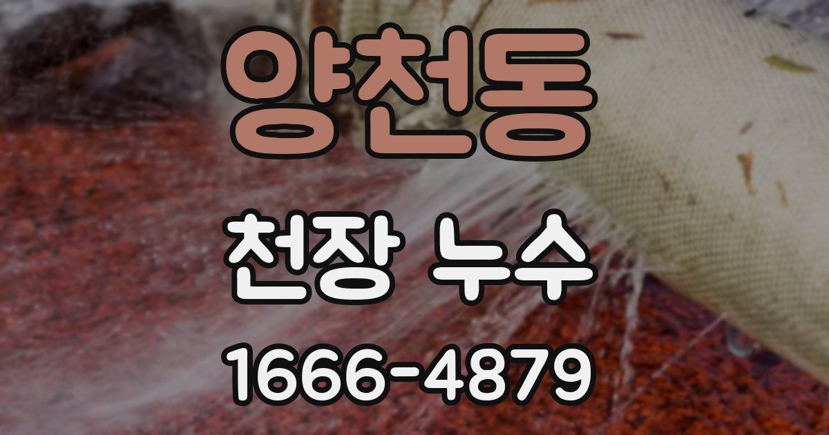 양천동 천장 누수