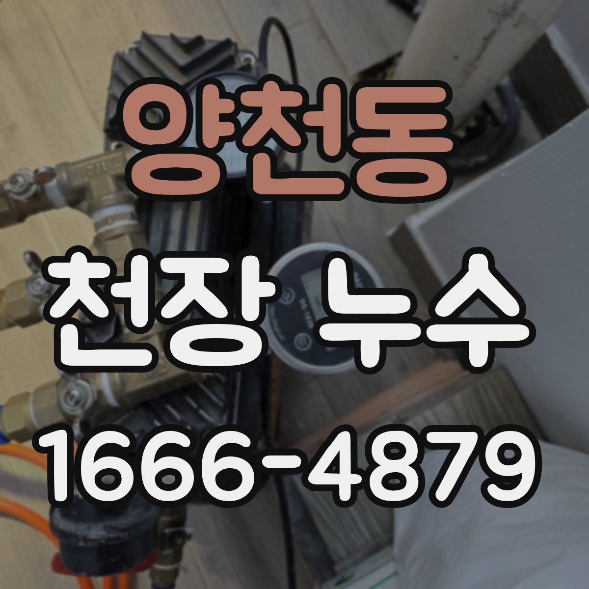 양천동 천장 누수