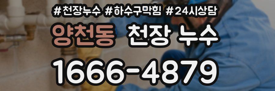 양천동 천장 누수