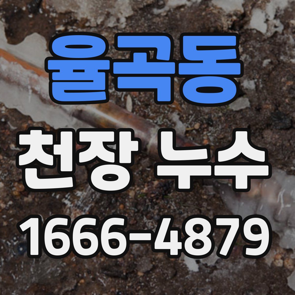 율곡동 천장 누수