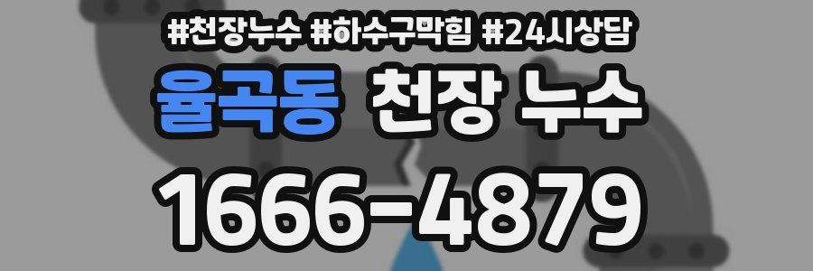 율곡동 천장 누수