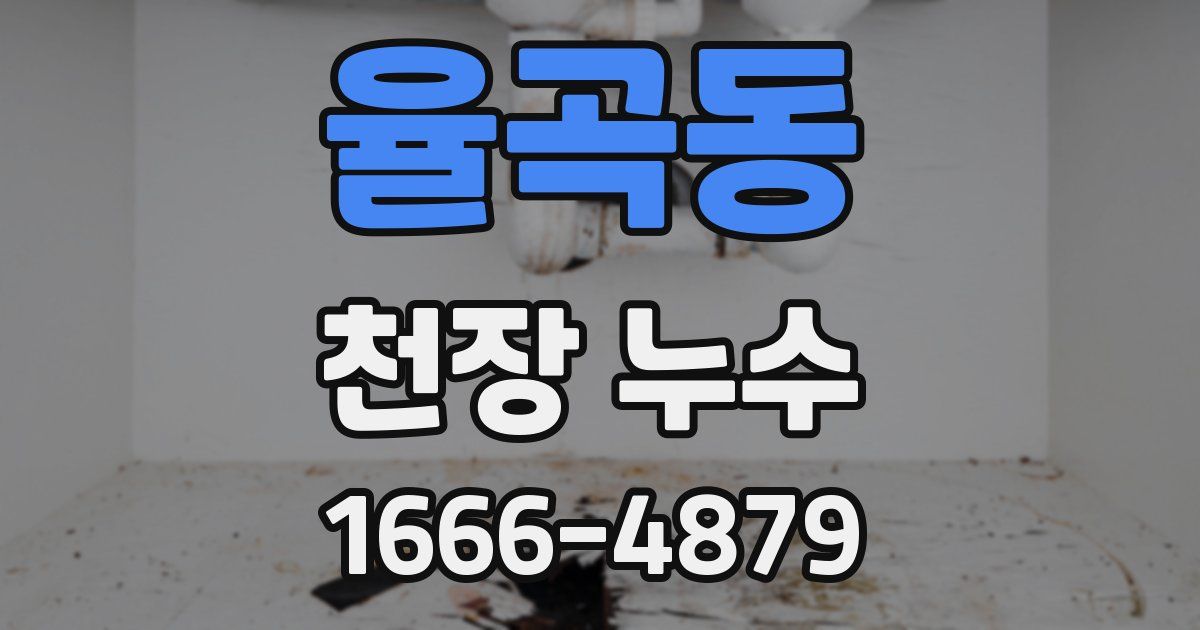 율곡동 천장 누수