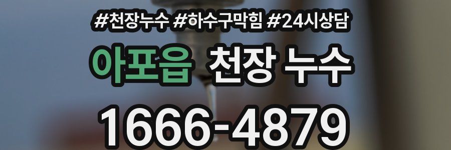 아포읍 천장 누수