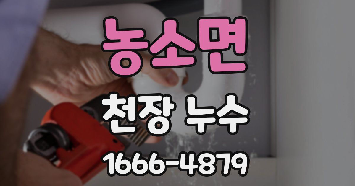 농소면 천장 누수