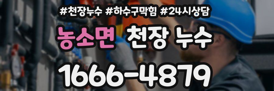 농소면 천장 누수