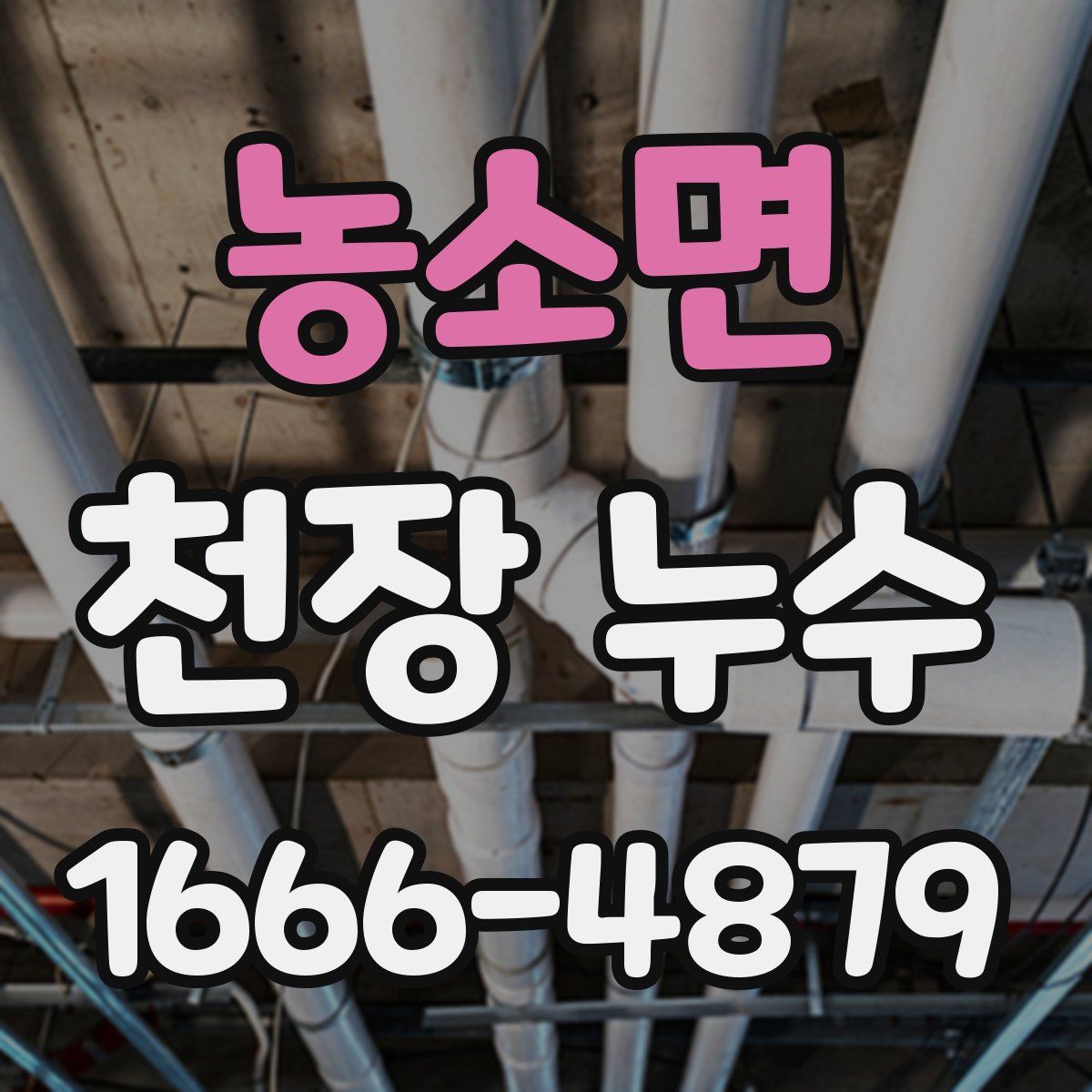 농소면 천장 누수