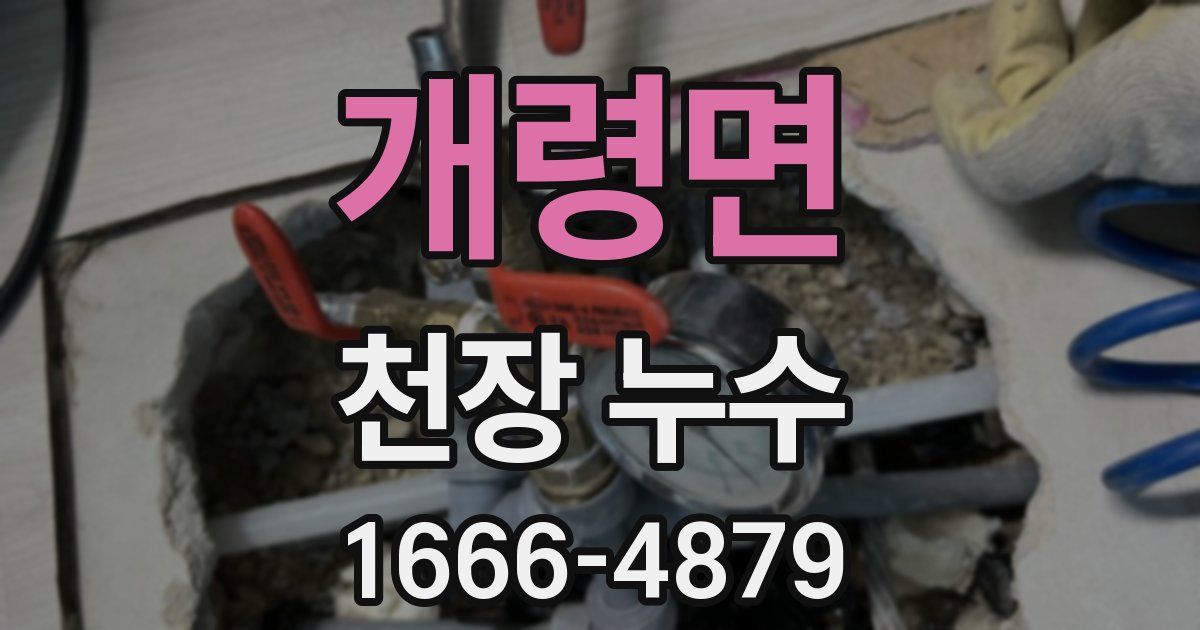 개령면 천장 누수