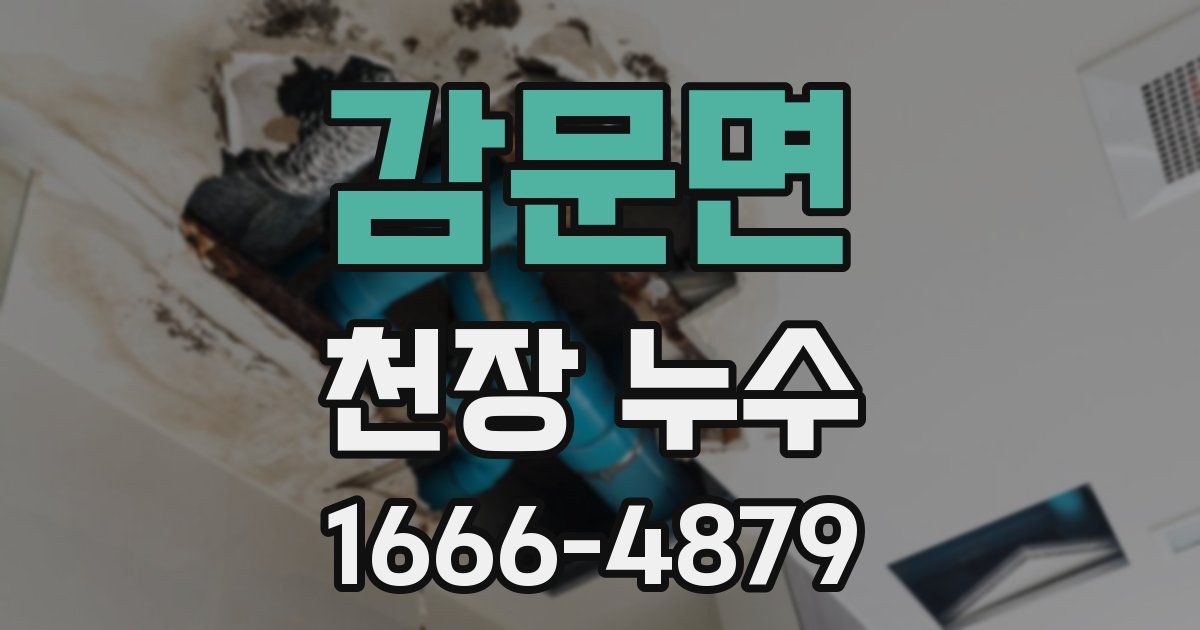 감문면 천장 누수