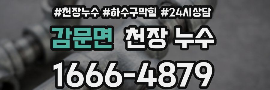 감문면 천장 누수