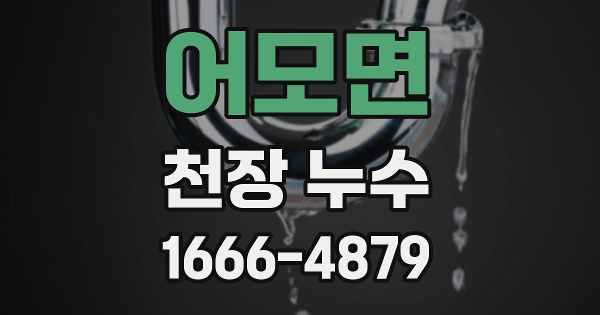 어모면 천장 누수