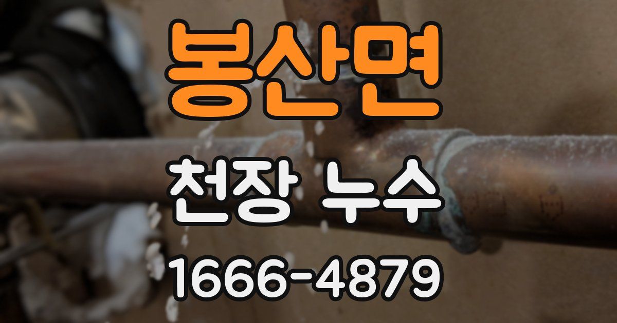 봉산면 천장 누수