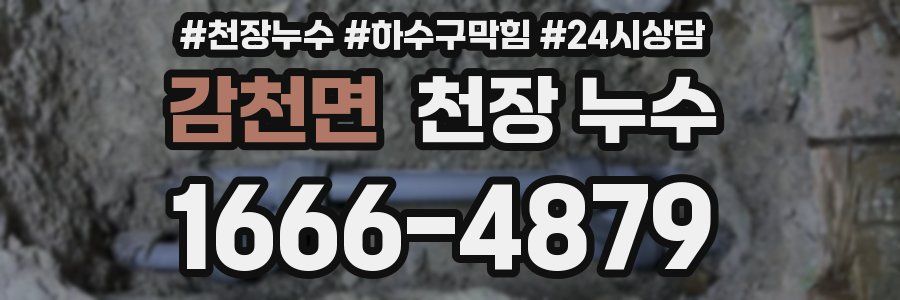 감천면 천장 누수