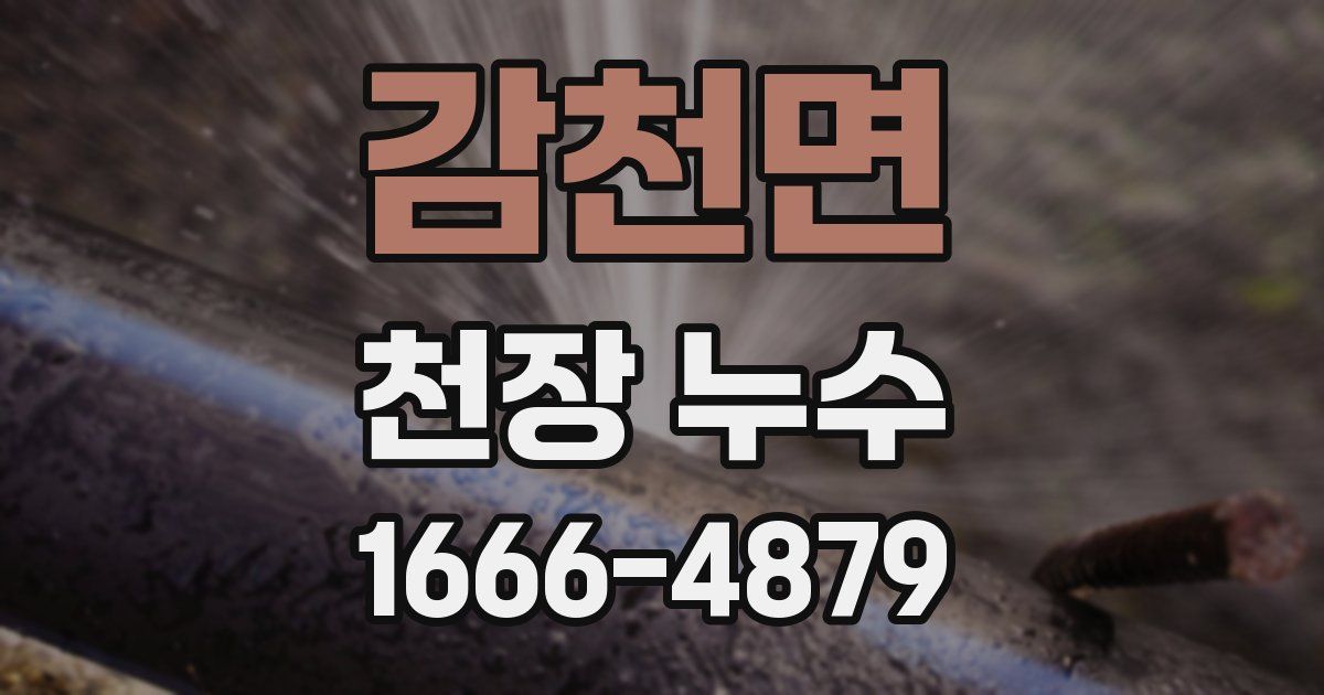 감천면 천장 누수