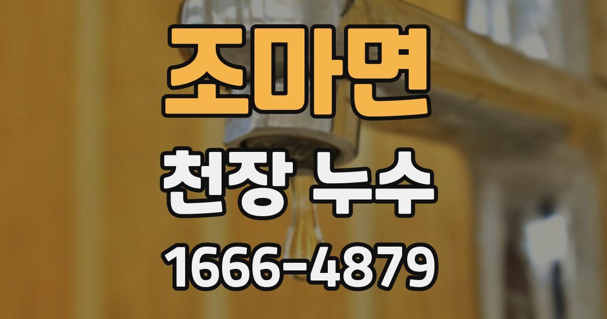 조마면 천장 누수