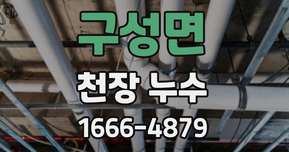 구성면 천장 누수