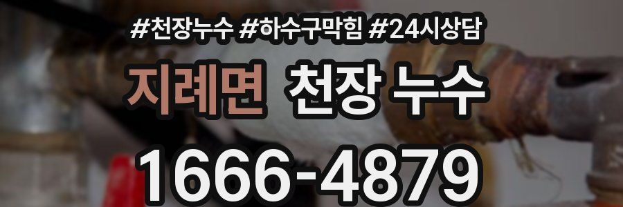 지례면 천장 누수