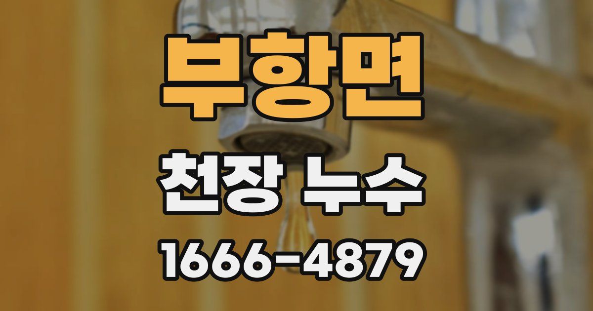 부항면 천장 누수