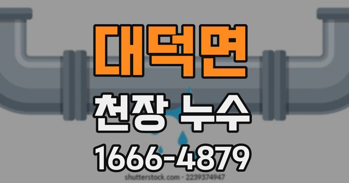 대덕면 천장 누수