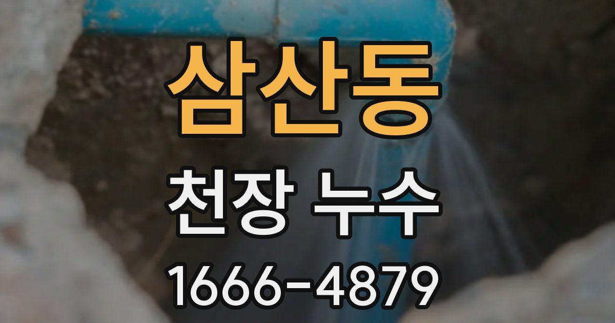 삼산동 천장 누수