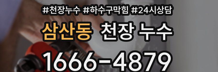 삼산동 천장 누수