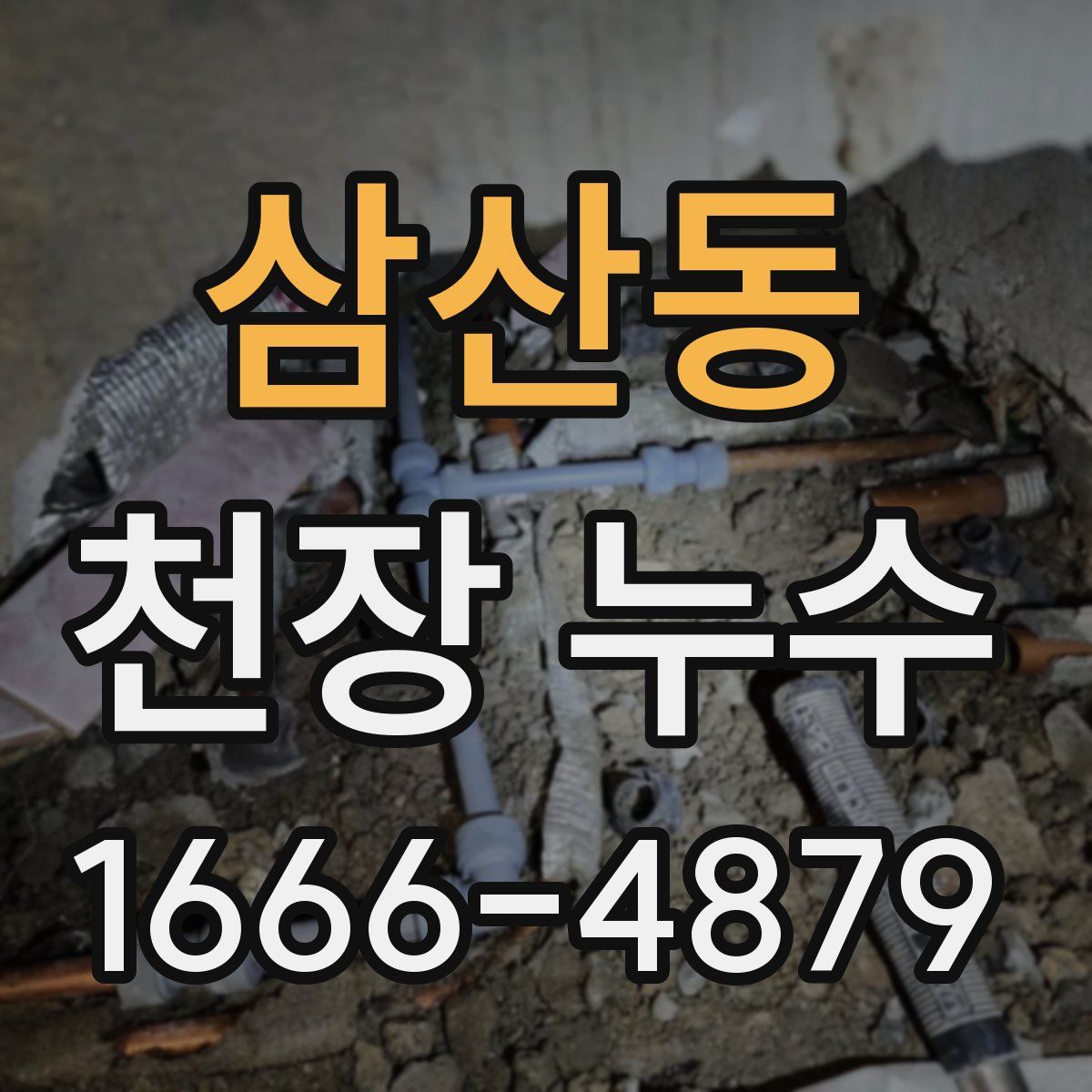 삼산동 천장 누수