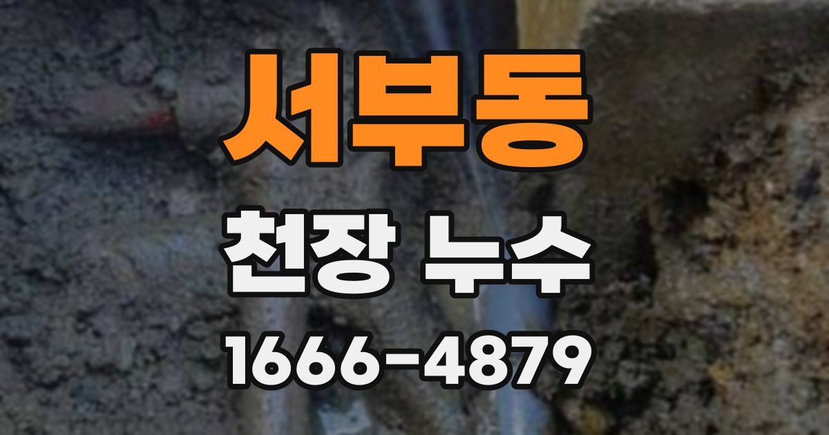 서부동 천장 누수