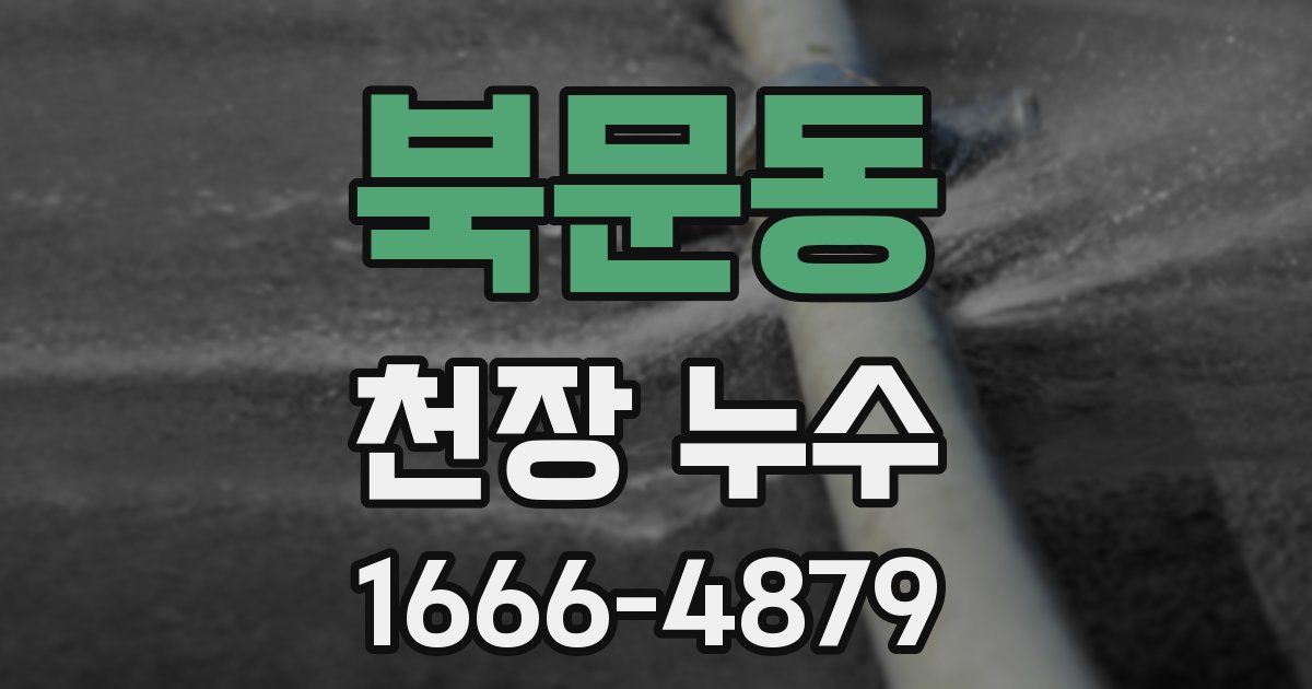북문동 천장 누수