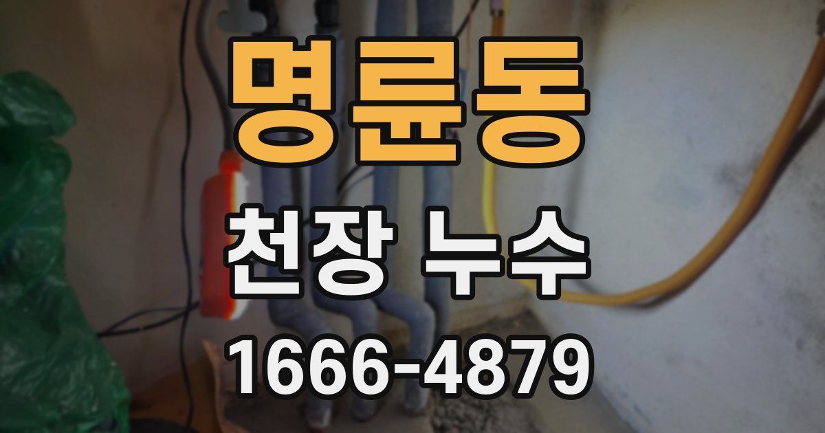 명륜동 천장 누수