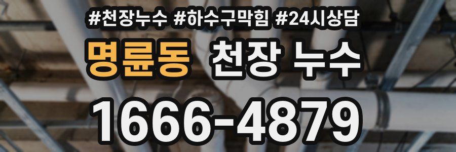 명륜동 천장 누수