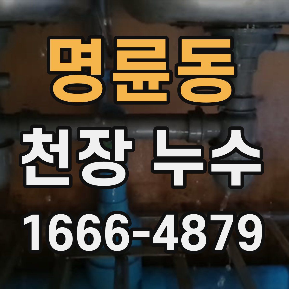 명륜동 천장 누수