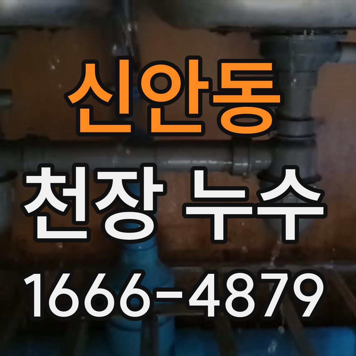 신안동 천장 누수