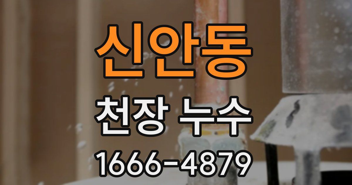 신안동 천장 누수