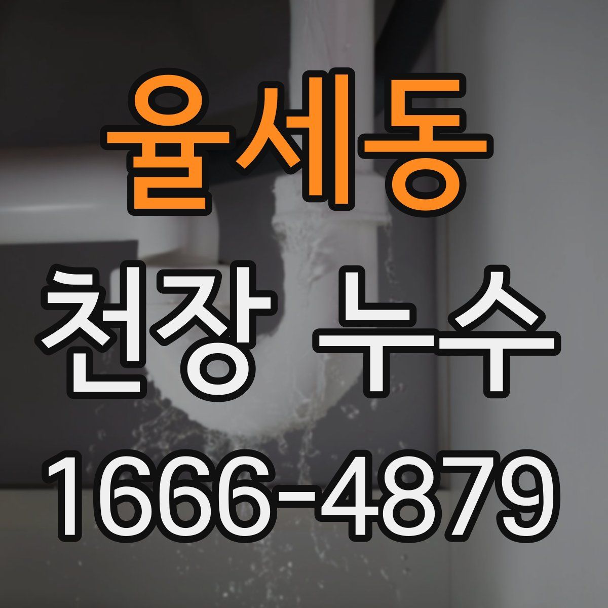 율세동 천장 누수