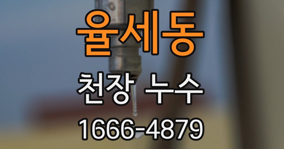 율세동 천장 누수
