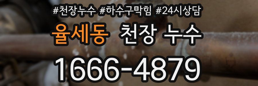 율세동 천장 누수