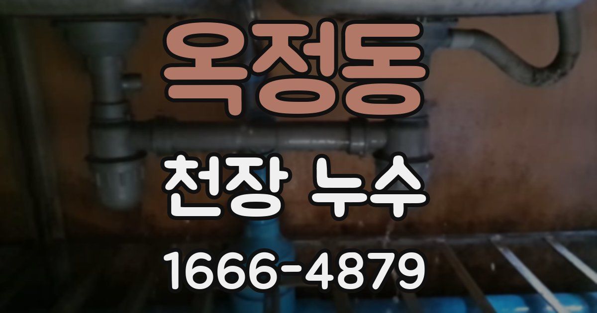 옥정동 천장 누수