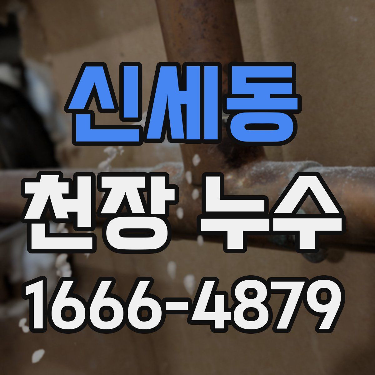 신세동 천장 누수