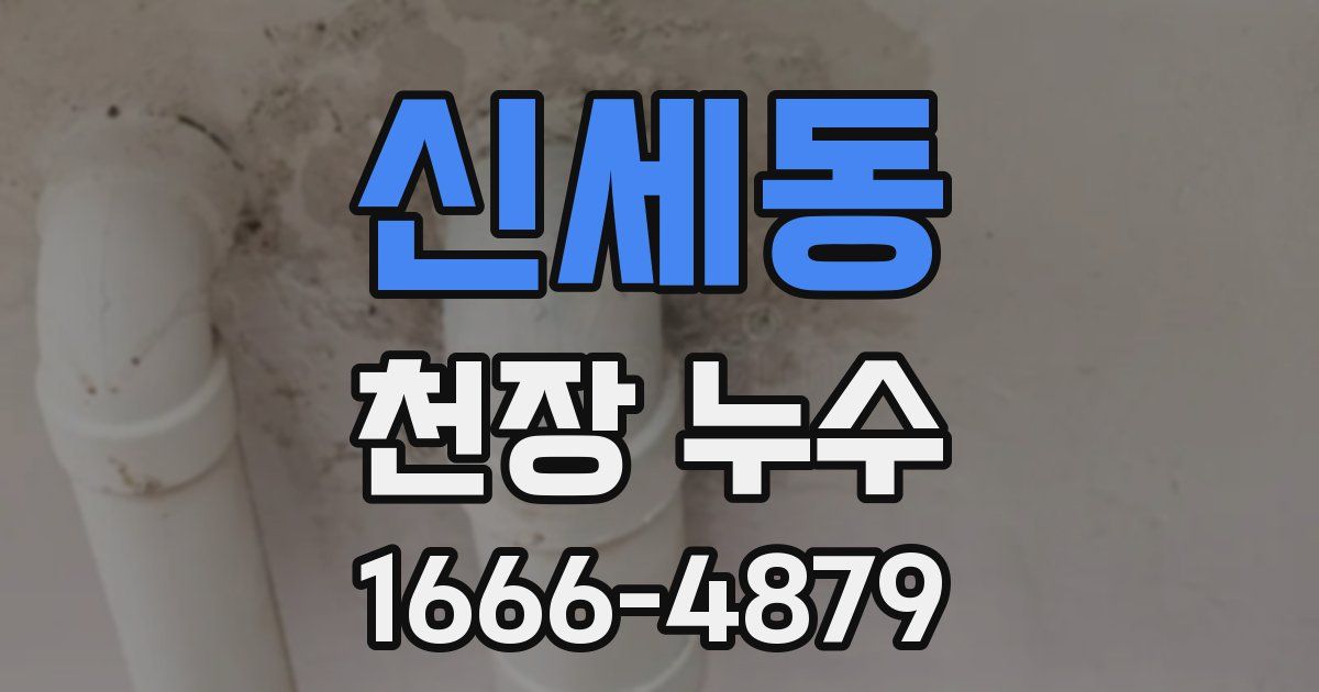 신세동 천장 누수
