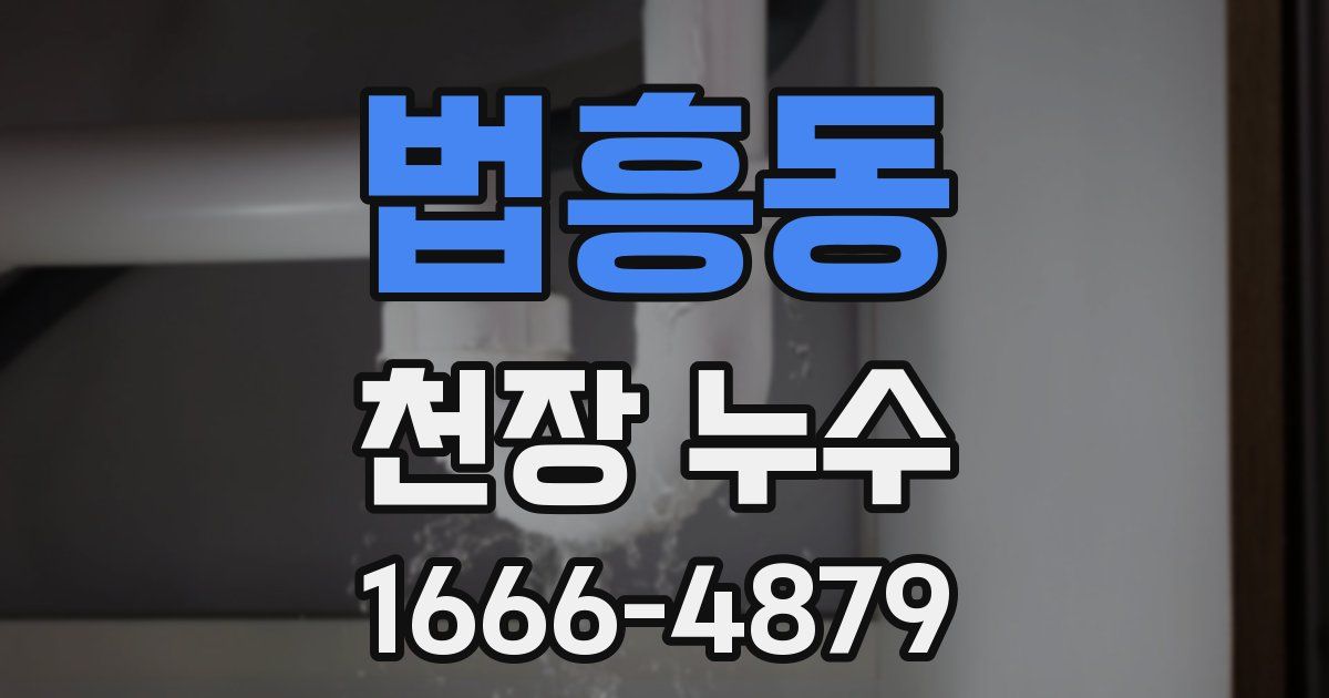 법흥동 천장 누수