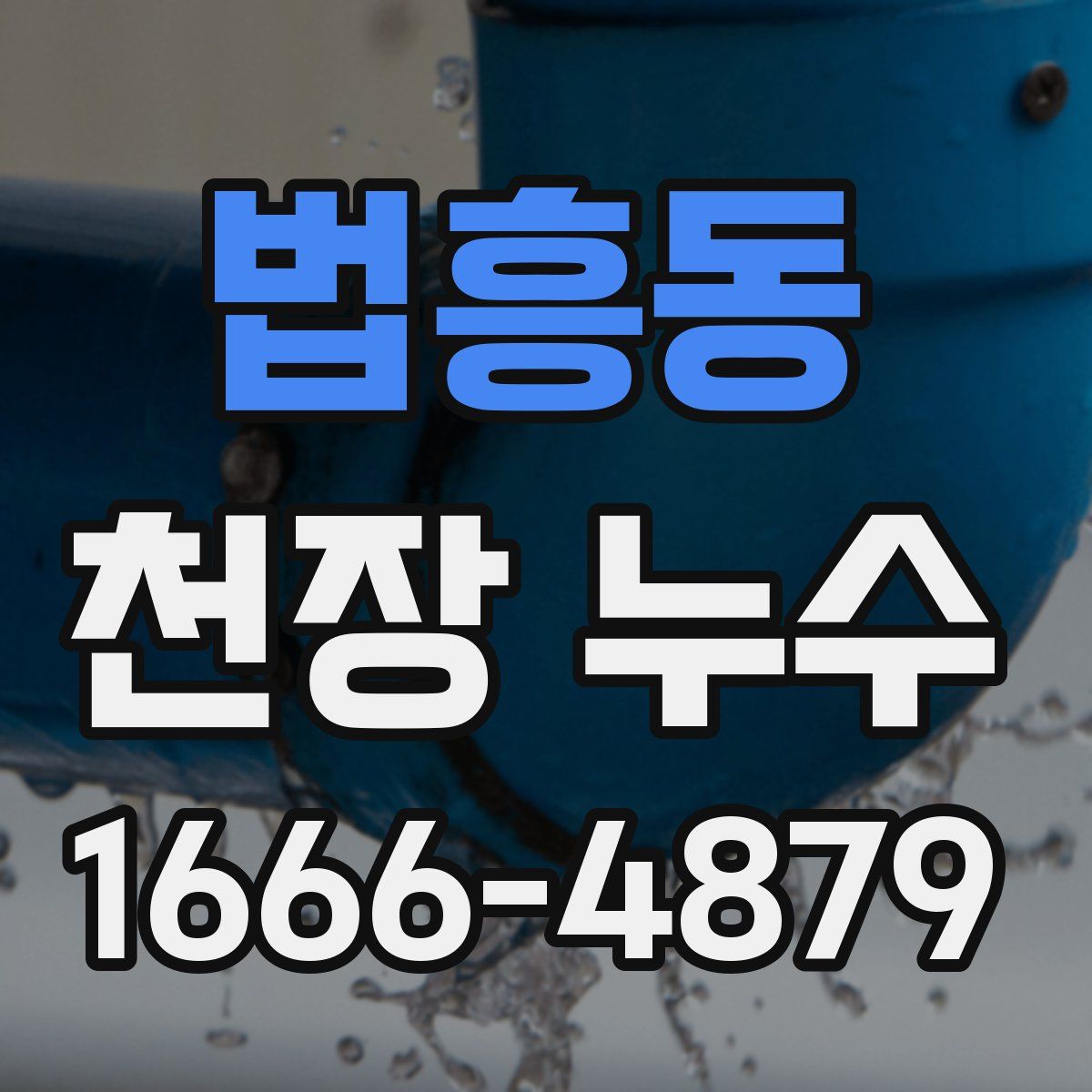 법흥동 천장 누수