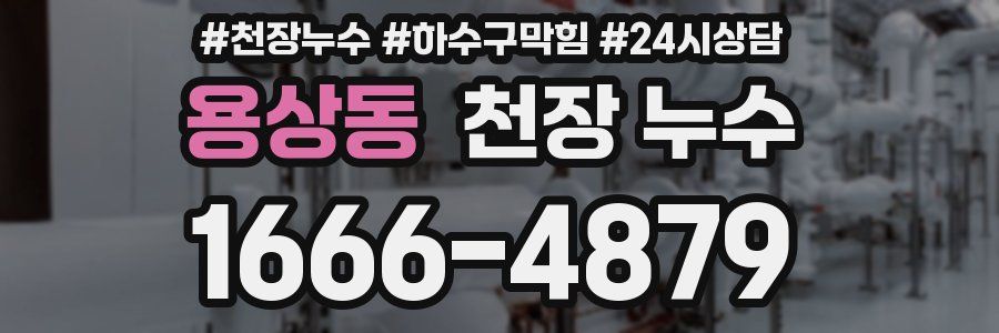 용상동 천장 누수